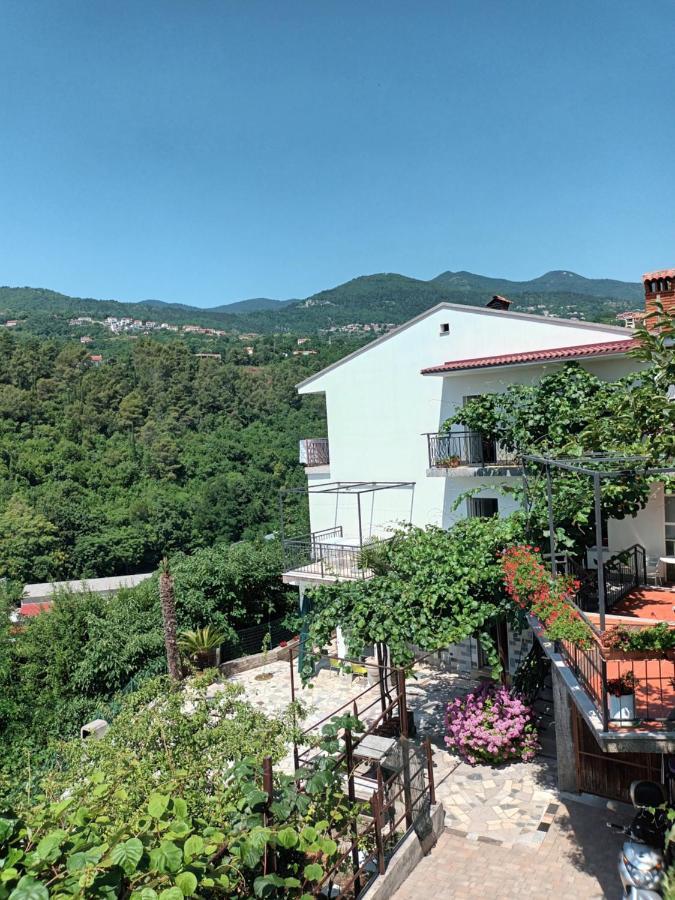 Apartments Branka Ika Zewnętrze zdjęcie